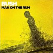 The lyrics SPEEDING THROUGH THE BRIGHT LIGHTS of BUSH is also present in the album Man on the run (2014)