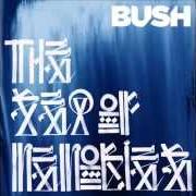 The lyrics THE HEART OF THE MATTER of BUSH is also present in the album The sea of memories (2011)