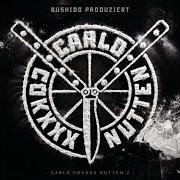 The lyrics BOSS of BUSHIDO is also present in the album Carlo cokxxx nutten (fler) (2021)