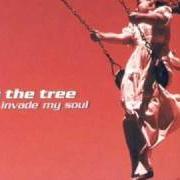 The lyrics WALK of BY THE TREE is also present in the album Invade my soul (2001)