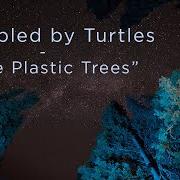 The lyrics FAKE PLASTIC TREES of TRAMPLED BY TURTLES is also present in the album Sigourney fever (2019)