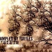 The lyrics WHITE NOISE of TRAMPLED BY TURTLES is also present in the album Duluth (2010)