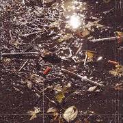 The lyrics RADIO SONG of RAINS is also present in the album From the ashes (2014)