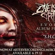 The lyrics CONFESSION of CHELSEA GRIN is also present in the album Evolve (2012)