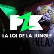La loi de la jungle La loi de la jungle
