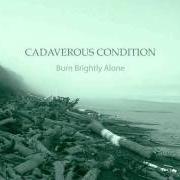 The lyrics SHORES OF YESTERDAY of CADAVEROUS CONDITION is also present in the album What the waves were always saying (2003)