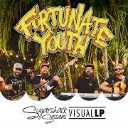 The lyrics LIVE LIFE of FORTUNATE YOUTH is also present in the album Live life (2019)