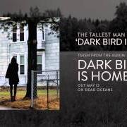 The lyrics DARK BIRD IS HOME of THE TALLEST MAN ON EARTH is also present in the album Dark bird is home (2015)