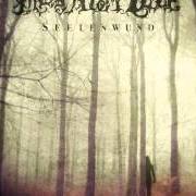 The lyrics SEHNSUCHT VERSUS LEBEN of MONDSTILLE is also present in the album Seelenwund (2012)
