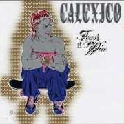 The lyrics WHIPPING THE HORSE'S EYES of CALEXICO is also present in the album Feast of wire (2003)