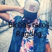 The lyrics FOTOS ROTAS of RAGDOG is also present in the album Bichos raros (2011)