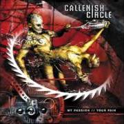 The lyrics CONFLICTS of CALLENISH CIRCLE is also present in the album My passion // your pain (2003)