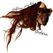 The lyrics INERTIA IS A BITCH of DRIFTLESS PONY CLUB is also present in the album Cholera (2006)