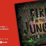 Fire in the jungle