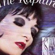 The lyrics O BABY of SIOUXSIE AND THE BANSHEES is also present in the album The rapture (1995)