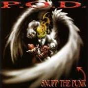 The lyrics DRAW THE LINE of P.O.D. (PAYABLE ON DEATH) is also present in the album Snuff the punk (1994)