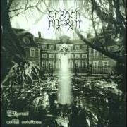The lyrics THERE WAS NO LIGHT of CARACH ANGREN is also present in the album Ethereal veiled existence - demo (2005)