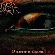 The lyrics CORPSE IN A NEBULOUS CREEK of CARACH ANGREN is also present in the album Lammendam (2008)