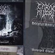The lyrics SEWN FOR SOLITUDE of CARACH ANGREN is also present in the album Franckensteina strataemontanus (2020)