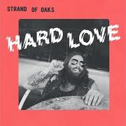 The lyrics TAKING ACID AND TALKING TO MY BROTHER of STRAND OF OAKS is also present in the album Hard love (2017)