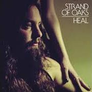 The lyrics SAME EMOTIONS of STRAND OF OAKS is also present in the album Heal (2014)