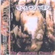 The lyrics ORGANIC PUZZLE of ABORTED is also present in the album The necrotorous chronicles - demo (1998)