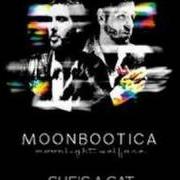 The lyrics JUMP AROUND of MOONBOOTICA is also present in the album Moonlight welfare (2007)