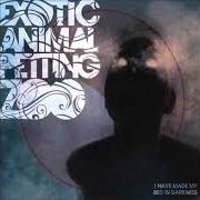 The lyrics ANNIVERSARY PSALM of EXOTIC ANIMAL PETTING ZOO is also present in the album I have made my bed in darkness (2008)