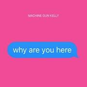 Why are you here