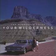 The lyrics WHERE WE STOOD of THE PINEAPPLE THIEF is also present in the album Your wilderness (2016)