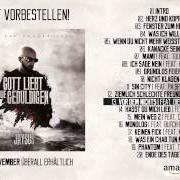 The lyrics ICH SAGE NEIN of JAYSUS is also present in the album Gott liebt die geduldigen (2014)