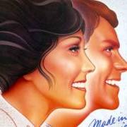 The lyrics BECAUSE WE ARE IN LOVE (THE WEDDING SONG) of THE CARPENTERS is also present in the album Made in america (1981)