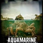 The lyrics LOST AT SEA of WILLIE THE KID is also present in the album Aquamarine (2013)