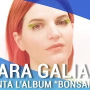 The lyrics KAMIKAZE of CHIARA GALIAZZO is also present in the album Bonsai (come fare le cose grandi in piccolo) (2020)