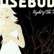 The lyrics SILENCE BY THE LAKESIDE of THE ROSEBUDS is also present in the album Night of the furies (2007)