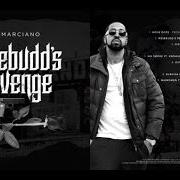 The lyrics HERRINGBONE of ROC MARCIANO is also present in the album Rosebudd's revenge (2017)