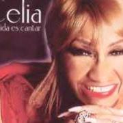 The lyrics SAZON of CELIA CRUZ is also present in the album Azucar negra (1993)