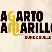The lyrics DONDE DUELE of LAGARTO AMARILLO is also present in the album Estoy mintiendo de verdad (2012)