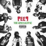 The lyrics WRECORD OUT NYCK CAUTION of PRO.ERA is also present in the album Peep: the aprocalypse (2012)