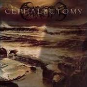 The lyrics OMENS OF ELDER CREATION of CEPHALECTOMY is also present in the album Dark waters rise (1998)