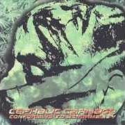 The lyrics JIHAD of CEPHALIC CARNAGE is also present in the album Conforming to abnormality (1998)