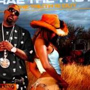 The lyrics ALL GOLD EVERYTHING (REMIX) of TRAE THA TRUTH is also present in the album All star 2013: take flight (2013)