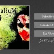 The lyrics BECOME of TREPALIUM is also present in the album Xiii (2009)
