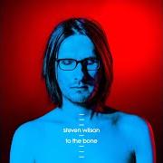 The lyrics SONG OF I of STEVEN WILSON is also present in the album To the bone (2017)