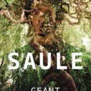The lyrics INVENTAIRE DE NOTRE AMOUR of SAULE is also present in the album Géant (2013)
