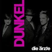 The lyrics DOOF of DIE ÄRZTE is also present in the album Dunkel (2021)