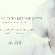 The lyrics DON'T WANT TO LET YOU DOWN of SHARON VAN ETTEN is also present in the album I don't want to let you down (2015)