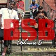 Troy ave presents: bsb vol. 4