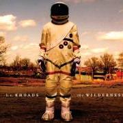 The lyrics HARVEST of K.S. RHOADS is also present in the album The wilderness (2013)