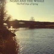 The lyrics MY BROKEN HEART of NOAH AND THE WHALE is also present in the album The first days of spring